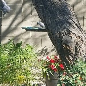 Meet your Posher, Milica